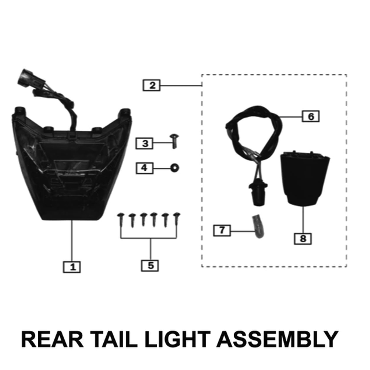 Rear Lamp Assembly